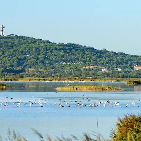 Le Sunset-cap Sud-1 By Interhome Appartement